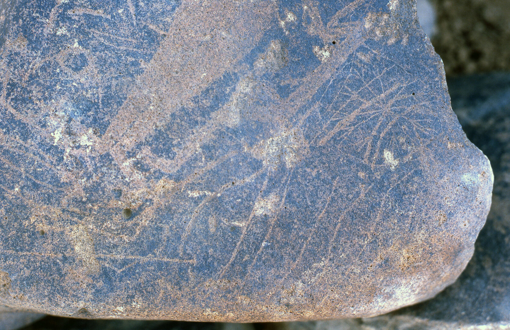 inscription of siglum Is.R 195