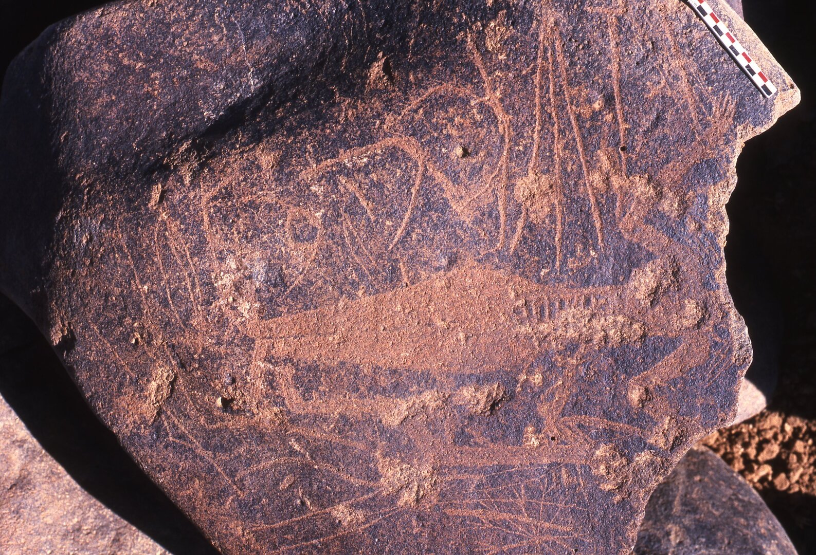 inscription of siglum Is.R 195