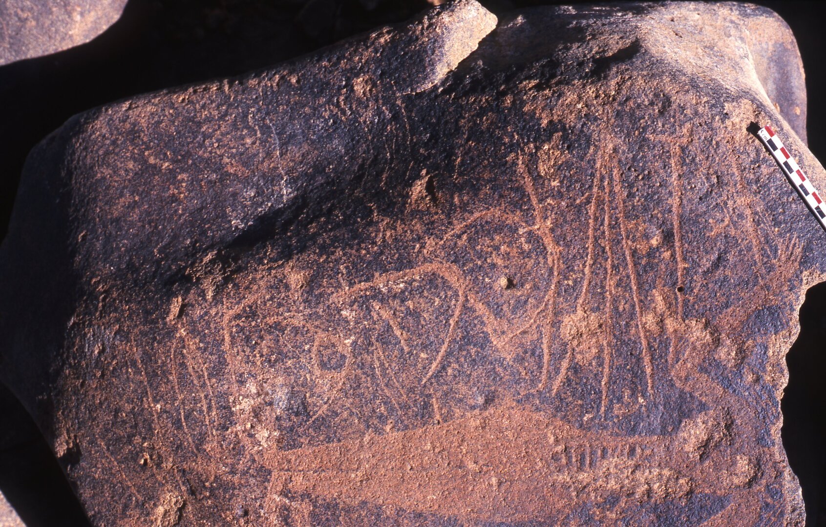 inscription of siglum Is.R 195