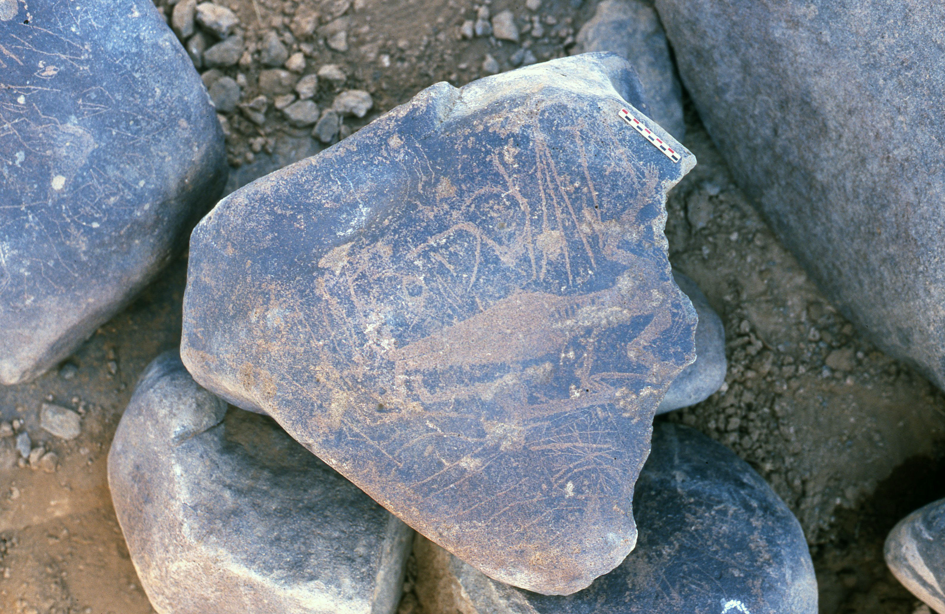 inscription of siglum Is.R 195