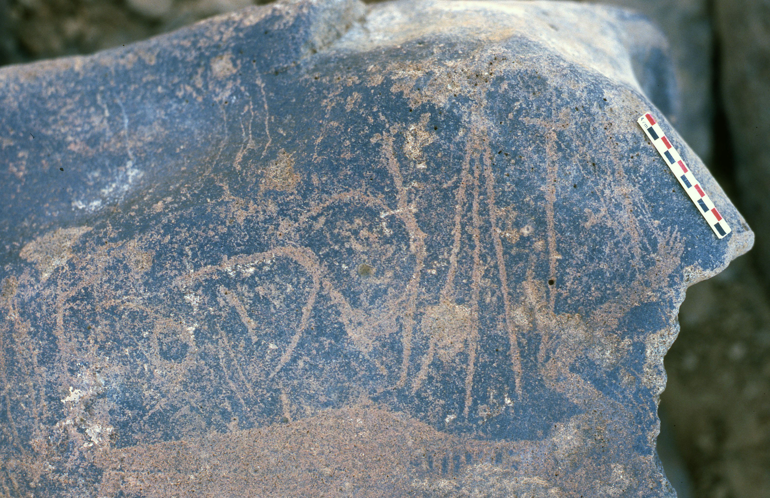 inscription of siglum Is.R 195