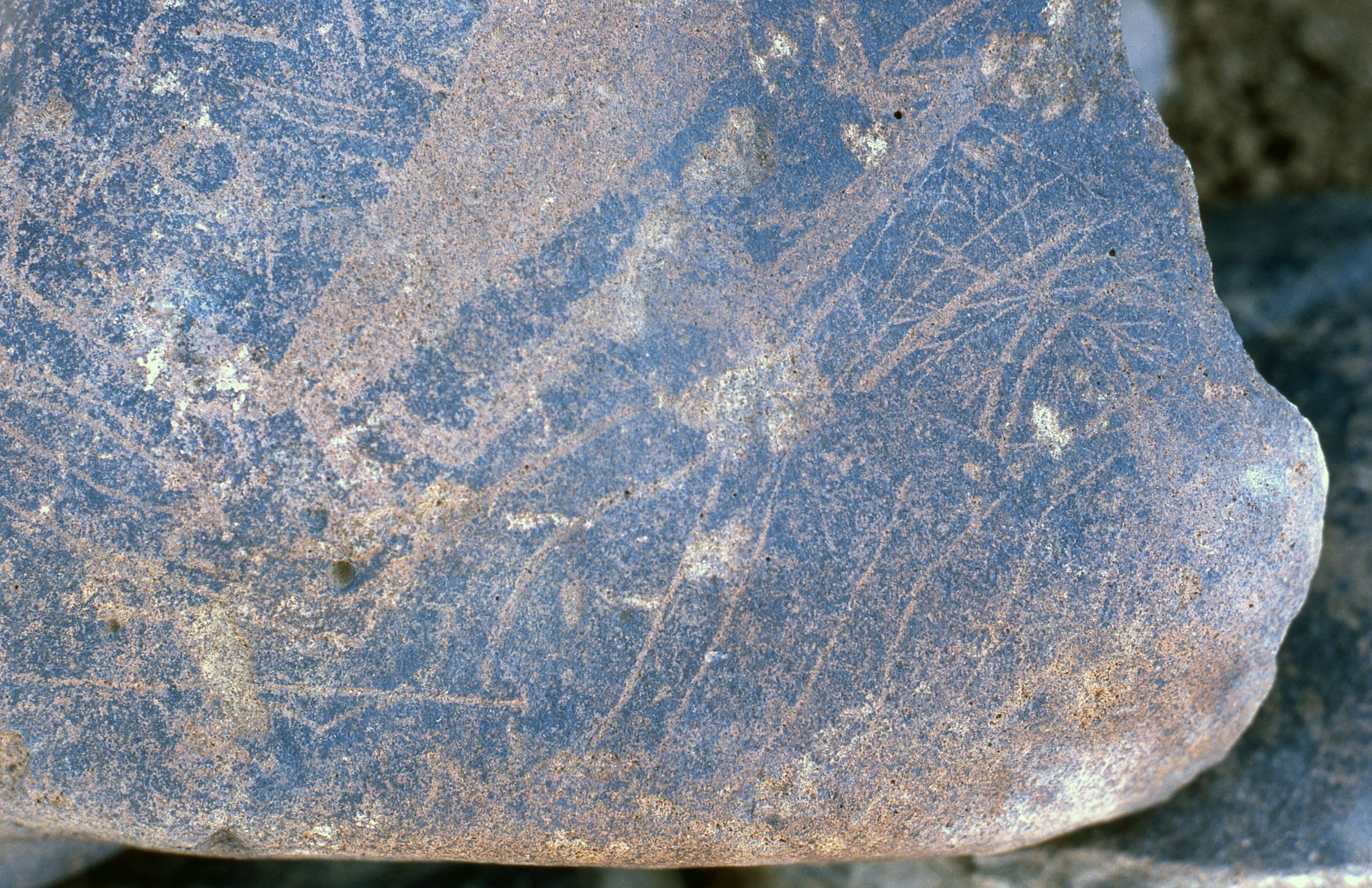 inscription of siglum Is.R 195