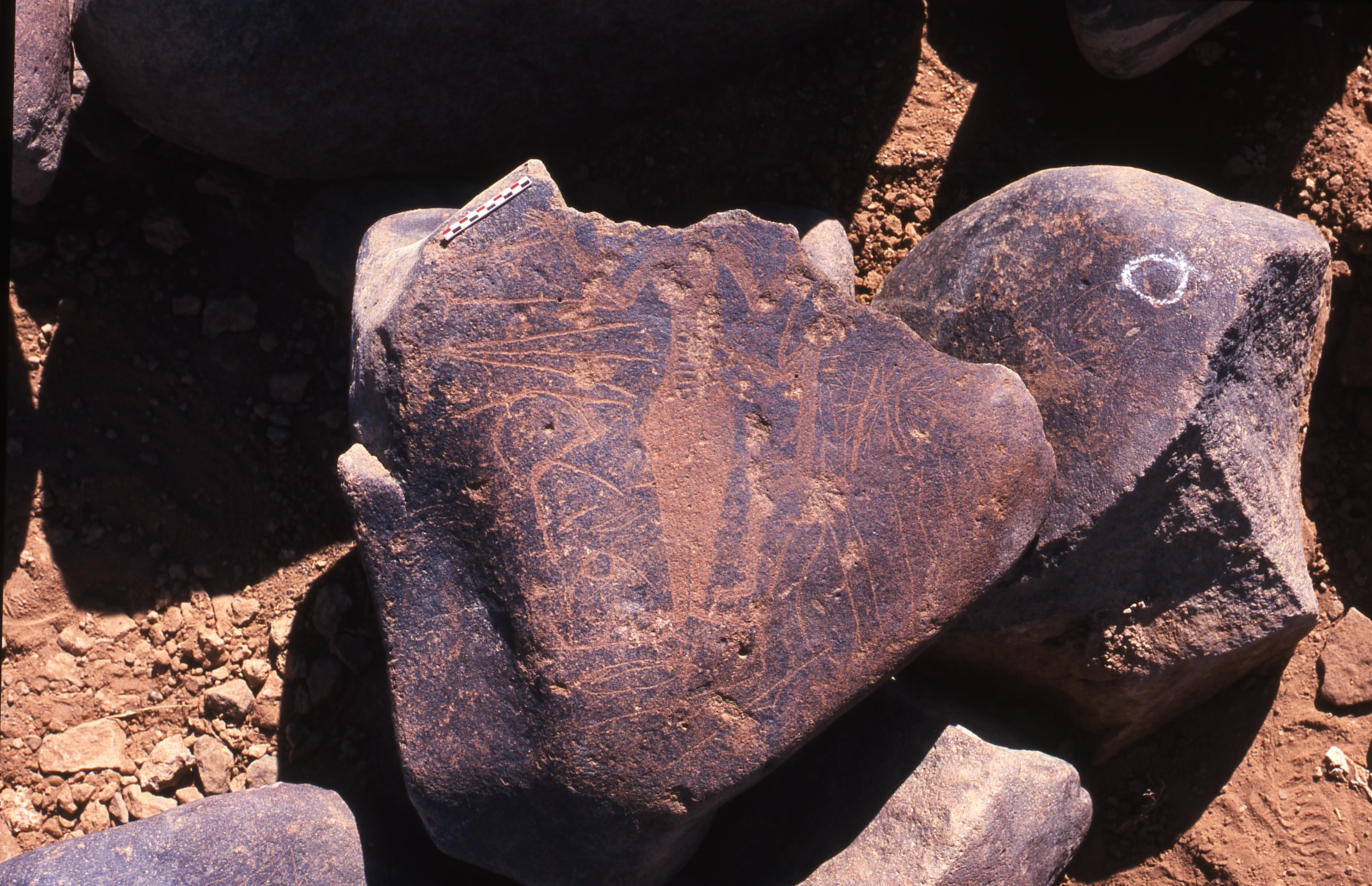 inscription of siglum Is.R 195