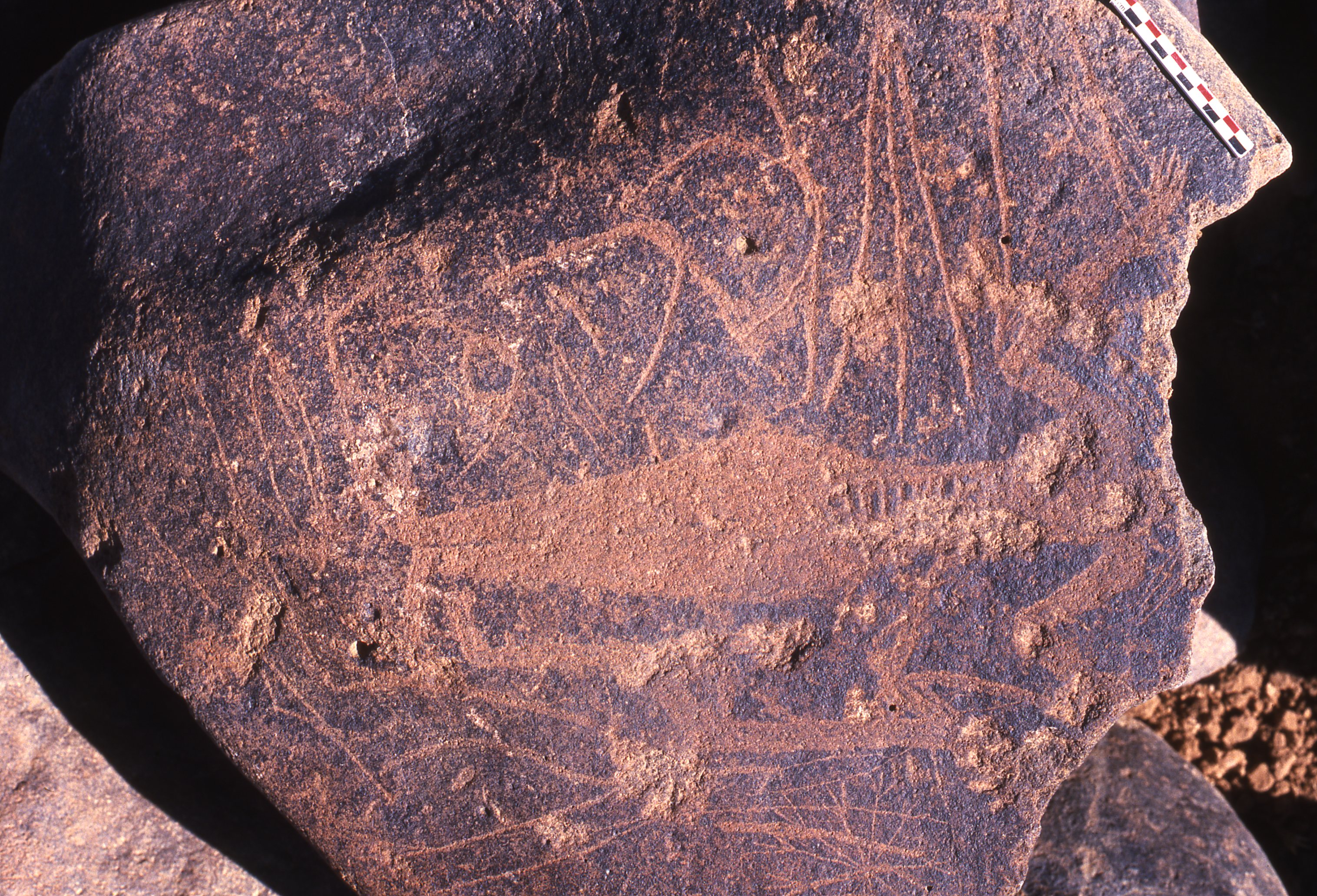 inscription of siglum Is.R 195