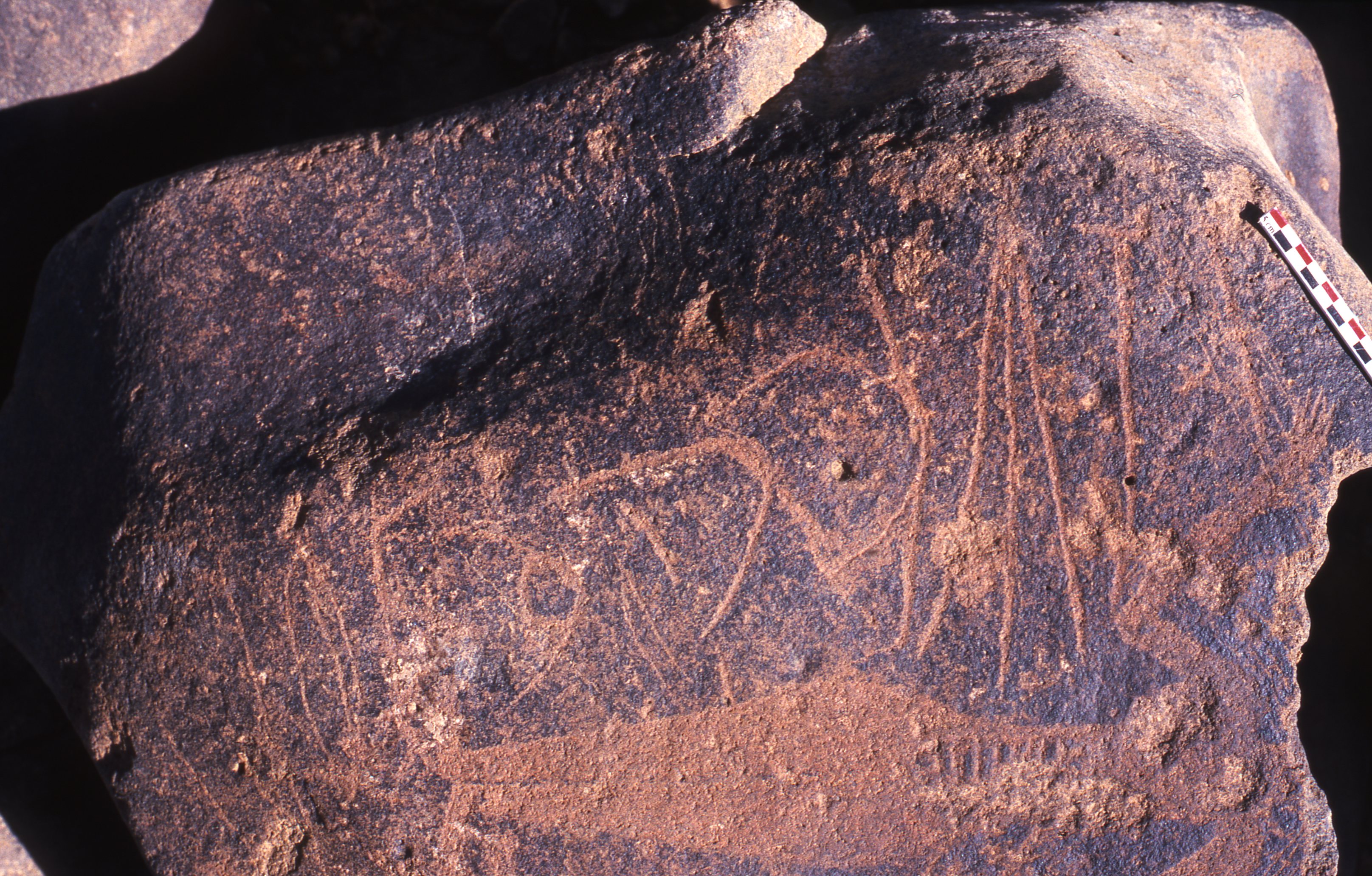 inscription of siglum Is.R 195