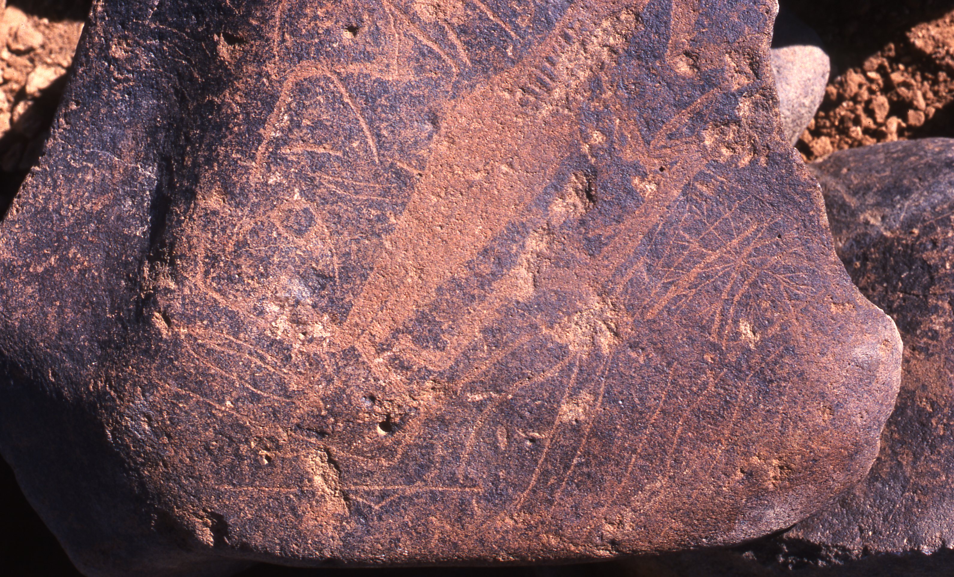 inscription of siglum Is.R 195