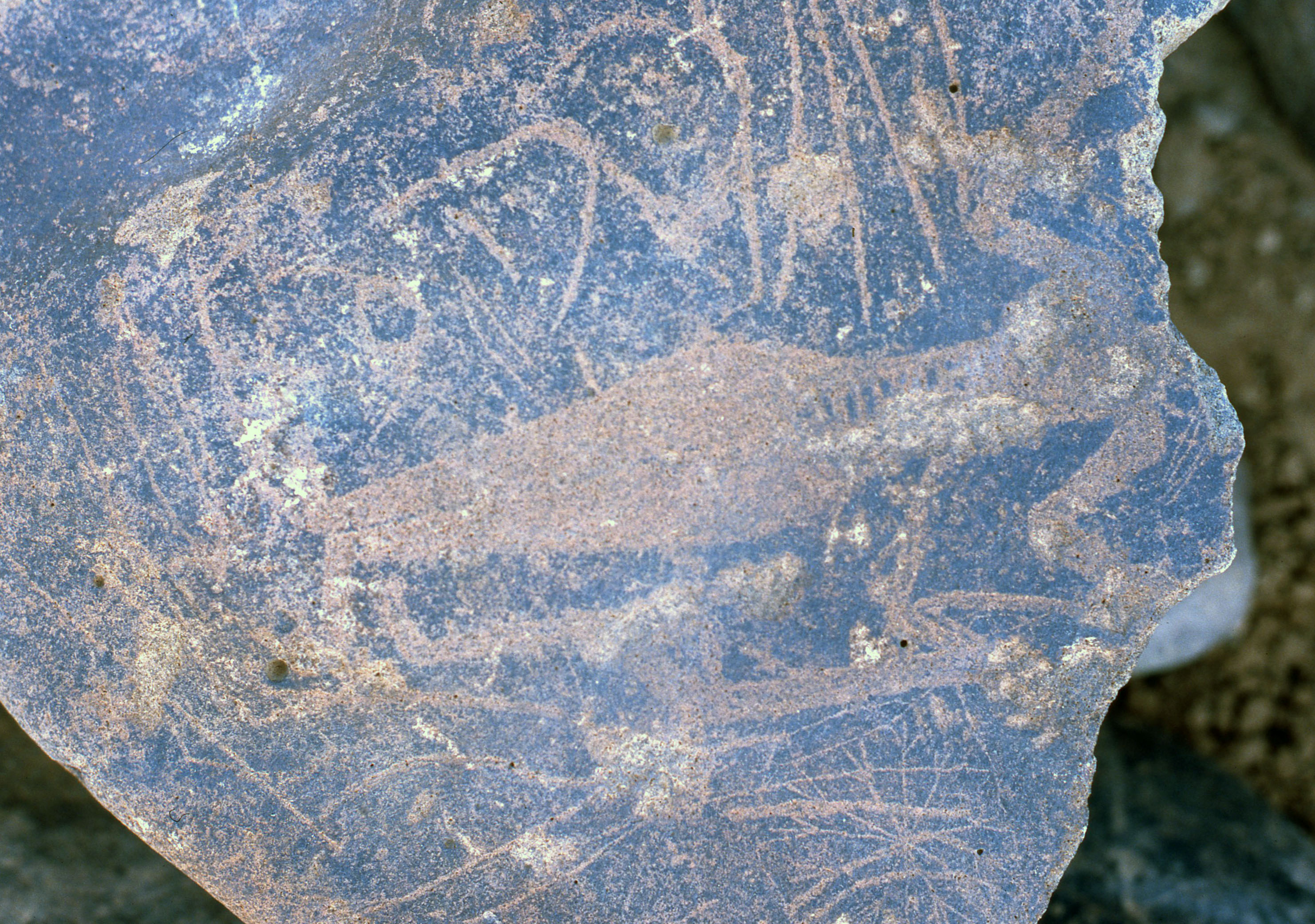 inscription of siglum Is.R 195