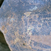inscription of siglum Is.R 195