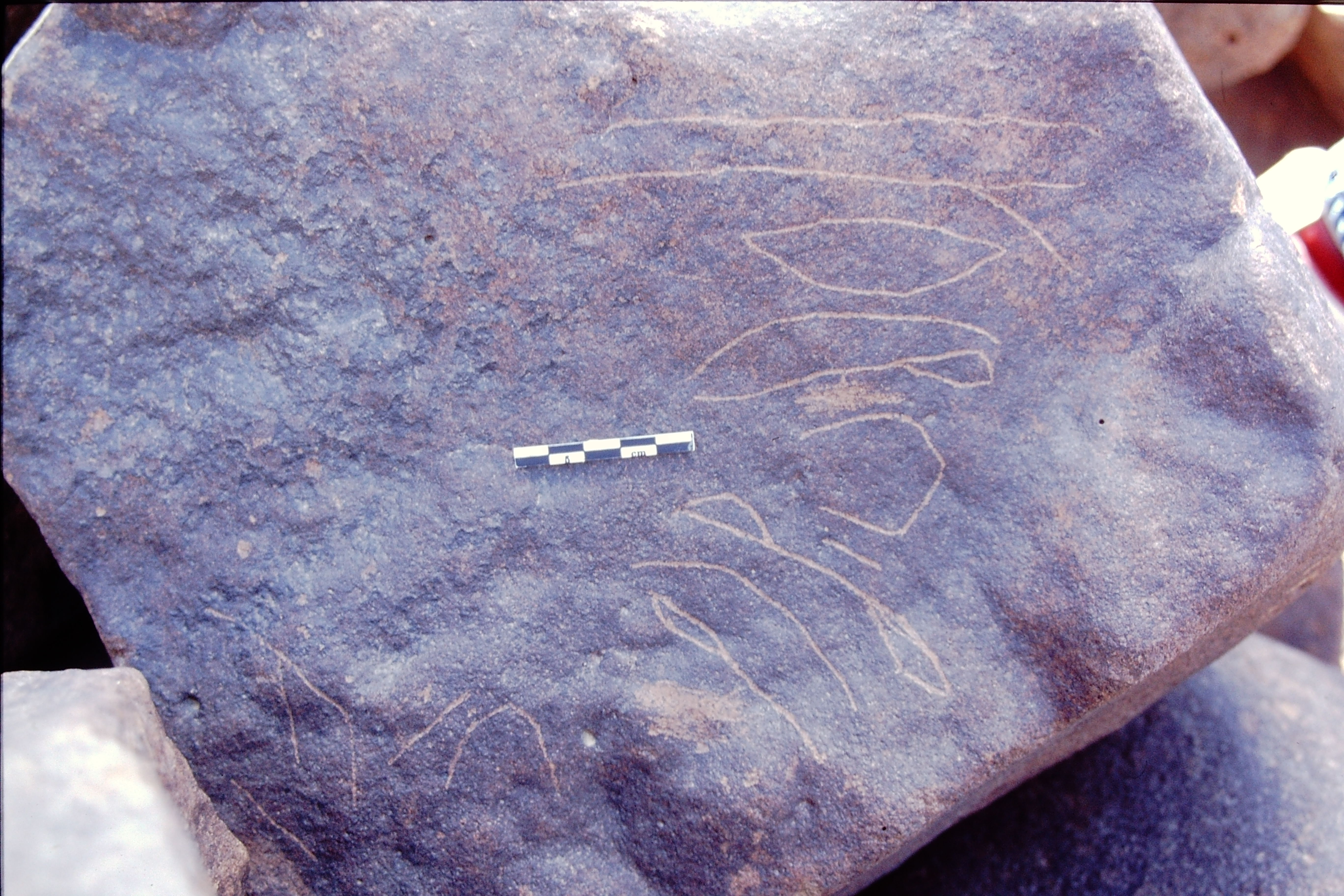 inscription of siglum Is.R 20