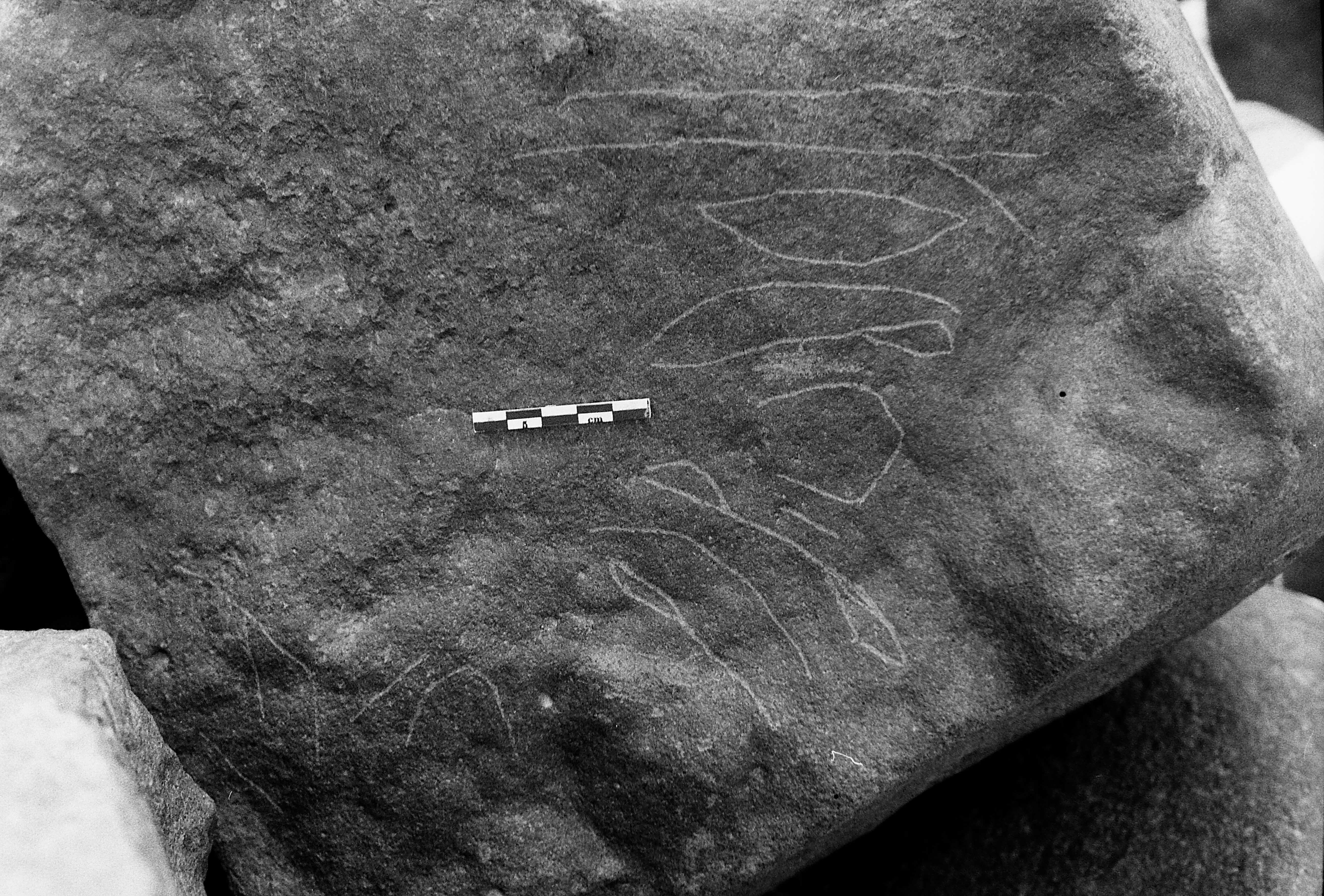 inscription of siglum Is.R 20