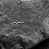 inscription of siglum Is.R 20