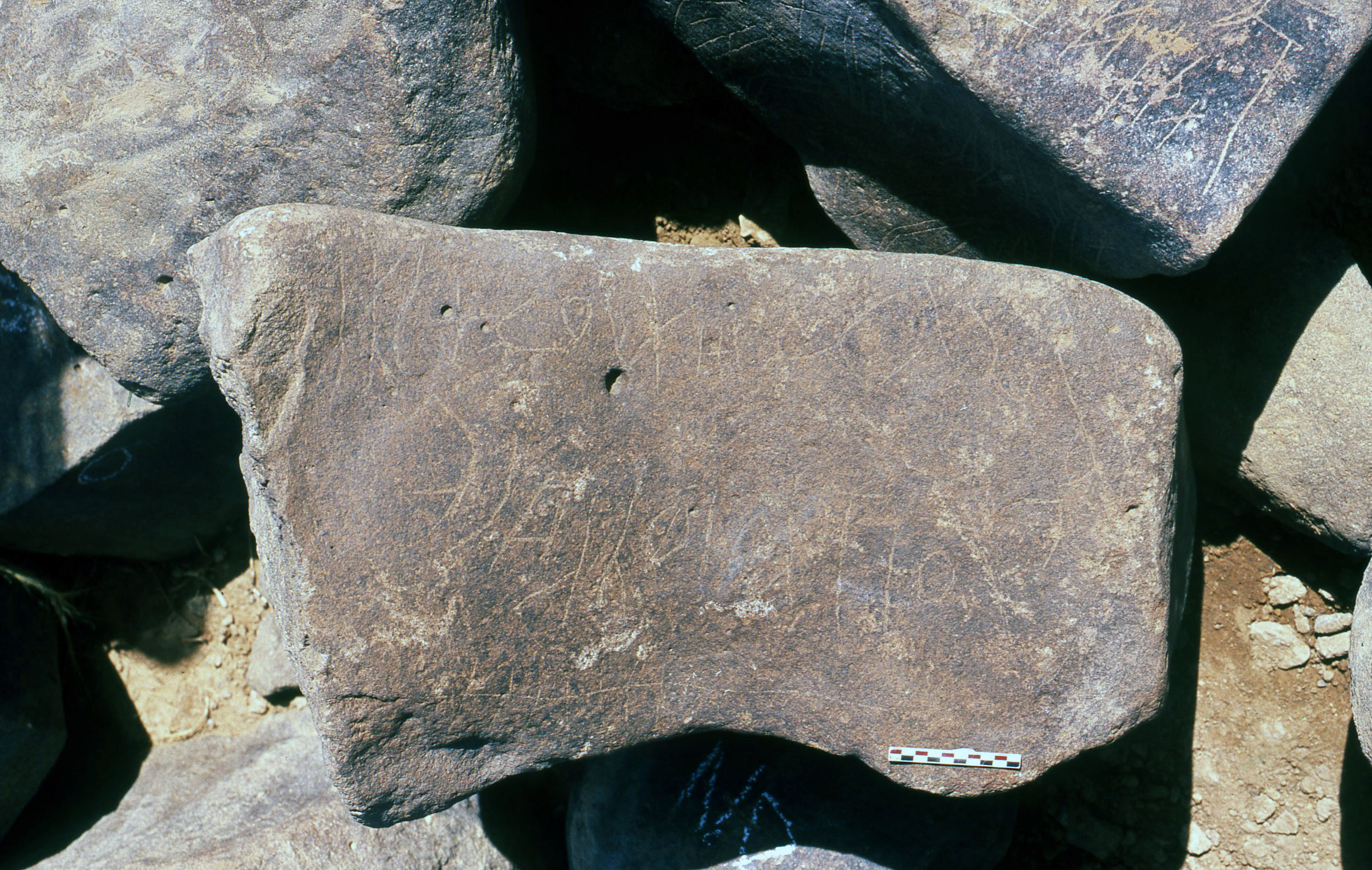inscription of siglum Is.R 204