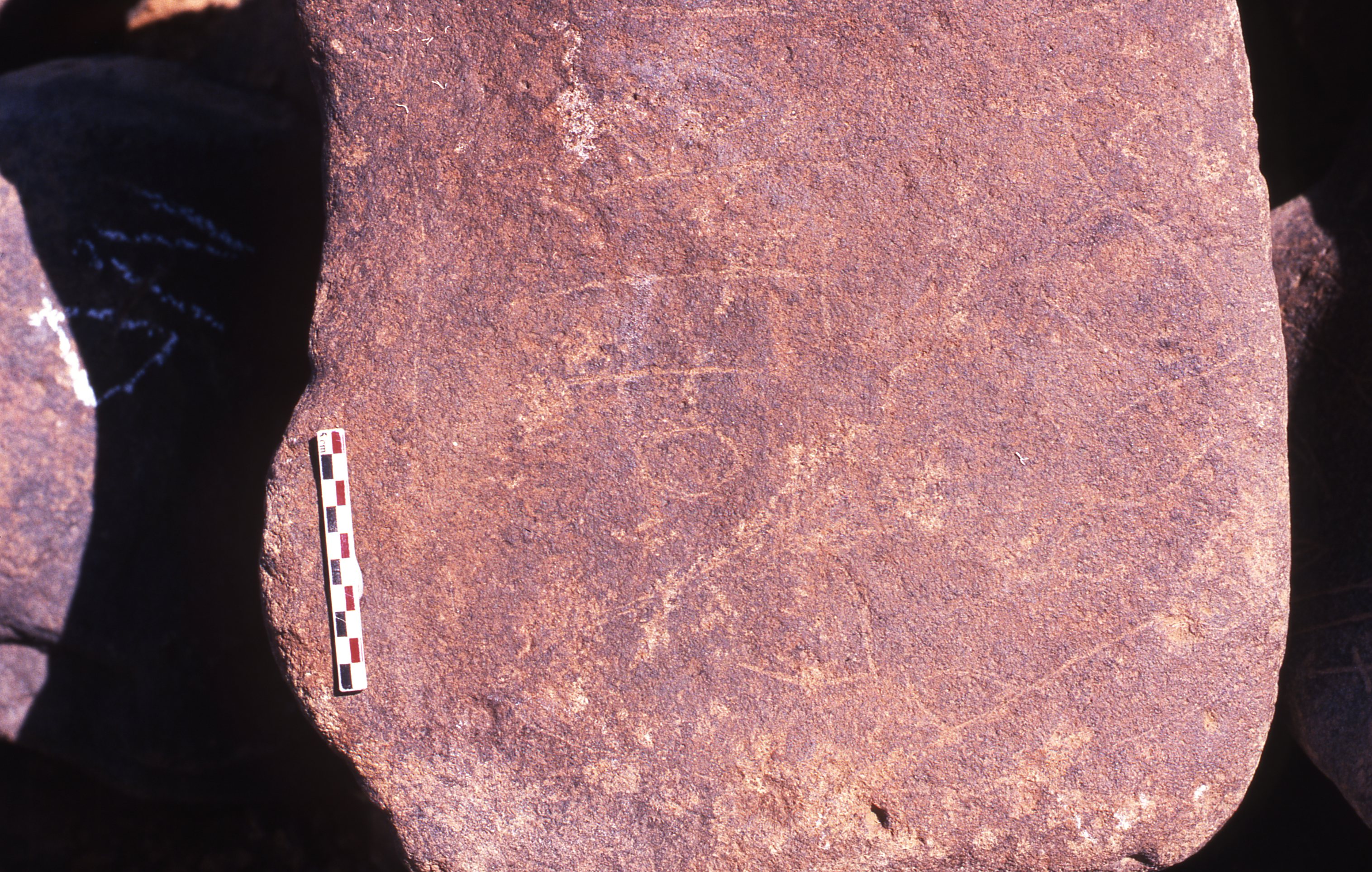 inscription of siglum Is.R 204