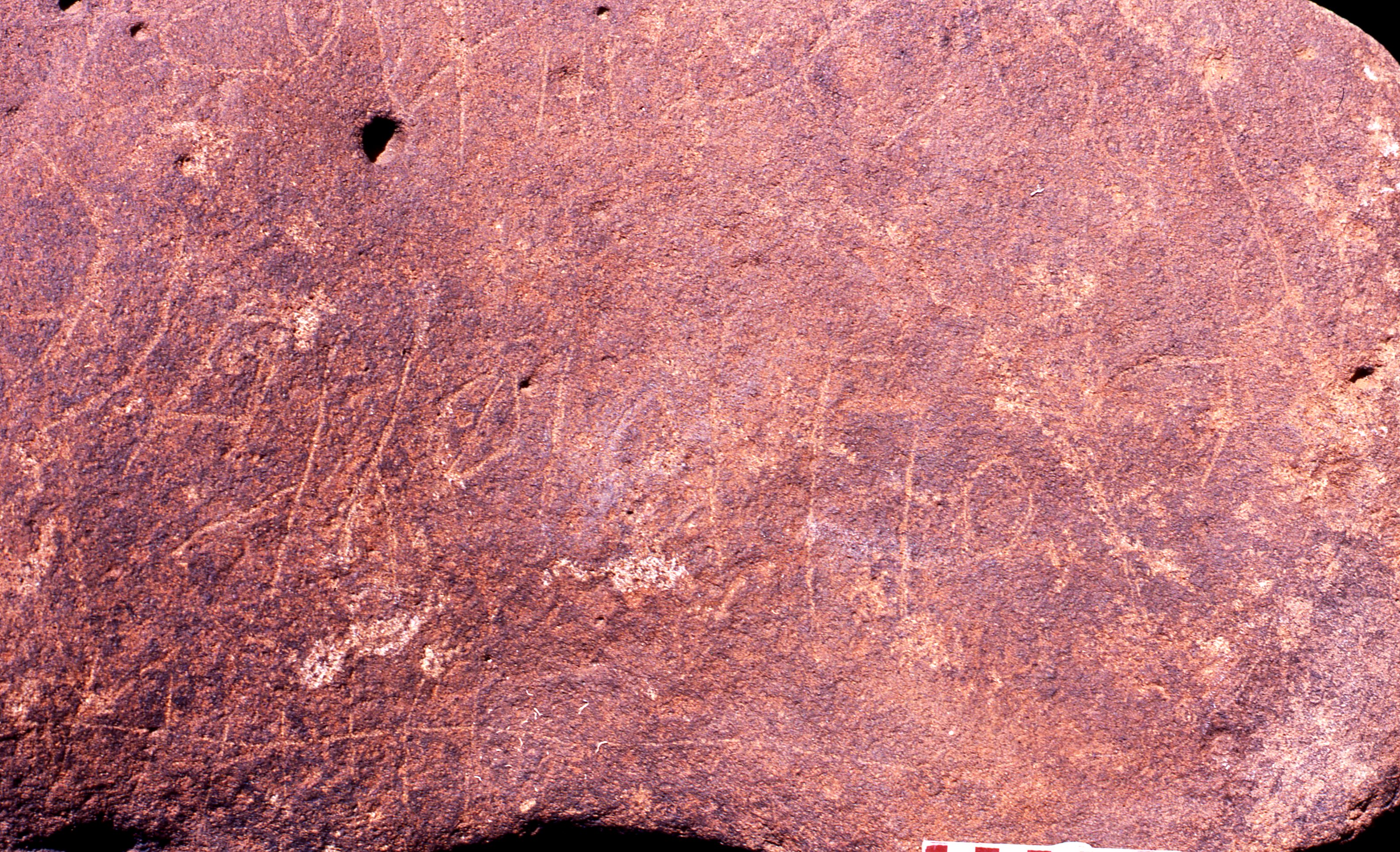 inscription of siglum Is.R 204