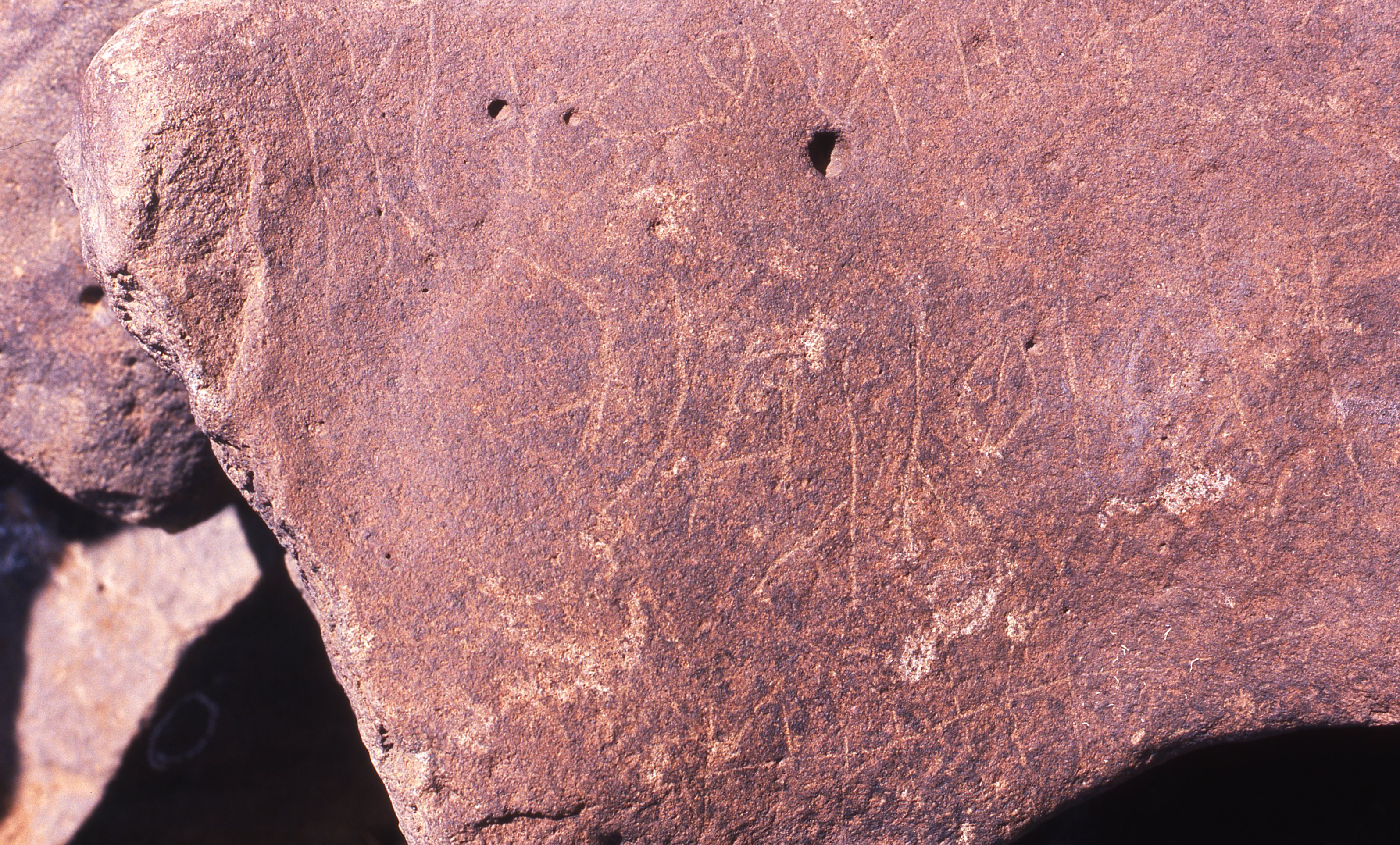 inscription of siglum Is.R 204