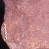 inscription of siglum Is.R 204