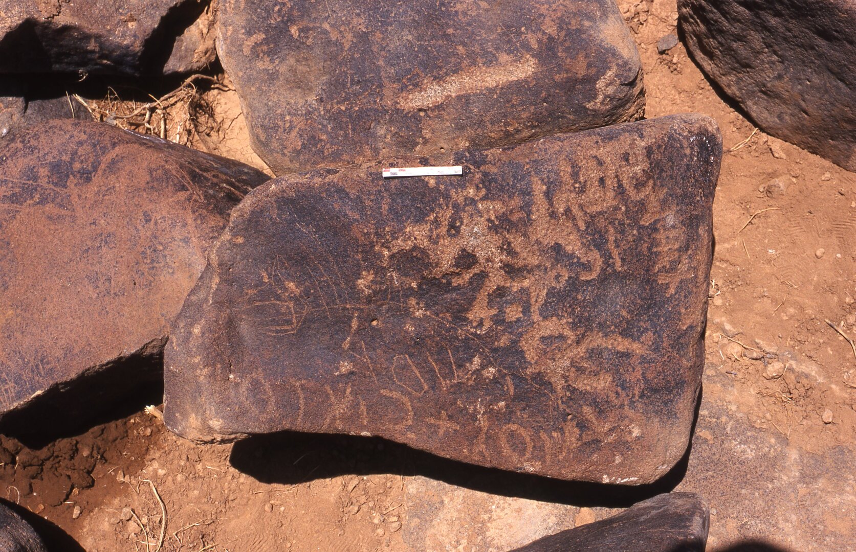 inscription of siglum Is.R 208