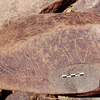 inscription of siglum Is.R 23