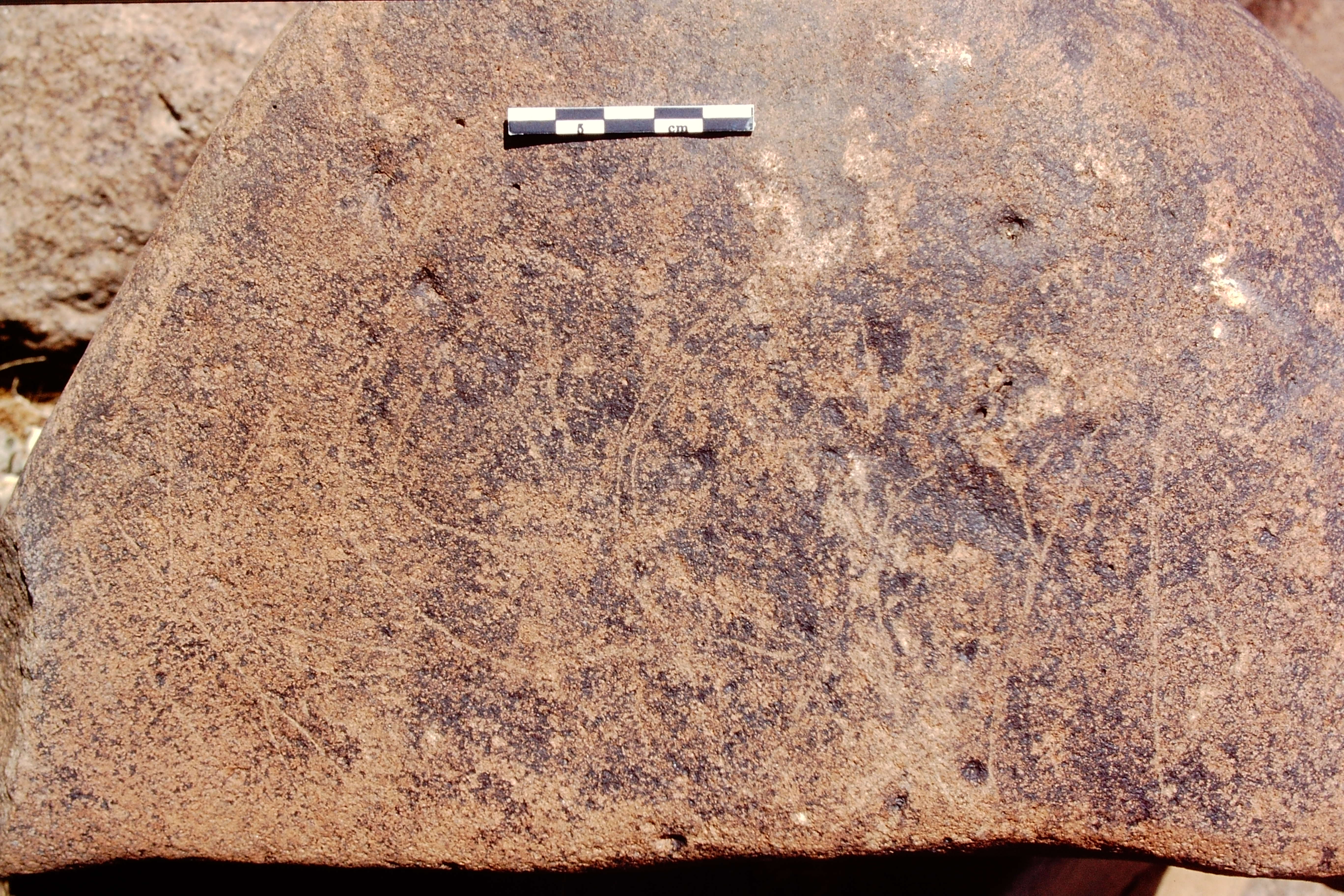 inscription of siglum Is.R 24