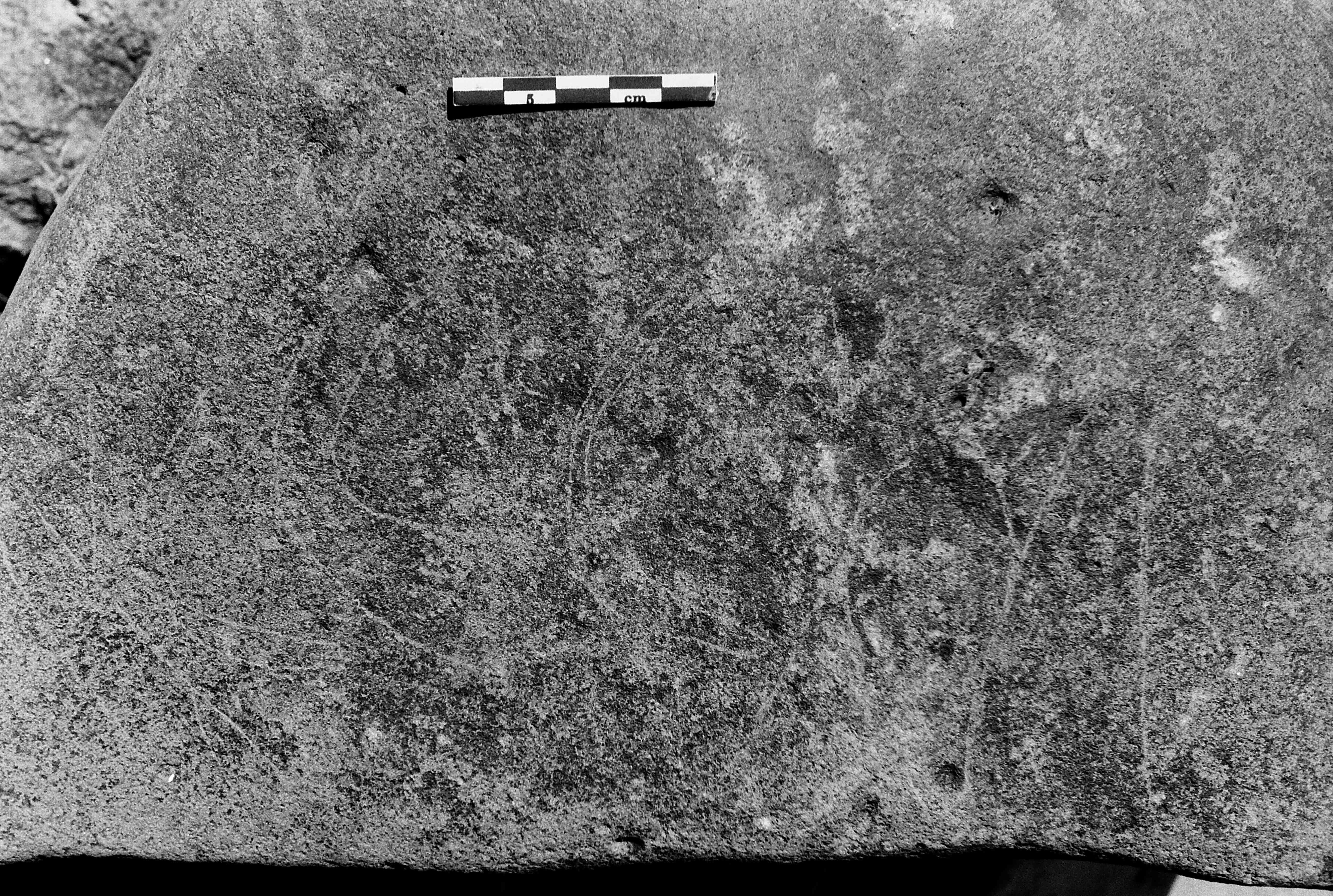 inscription of siglum Is.R 24