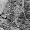 inscription of siglum Is.R 26