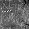 inscription of siglum Is.R 29