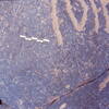 inscription of siglum Is.R 30