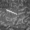 inscription of siglum Is.R 31