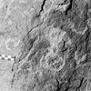 inscription of siglum Is.R 32