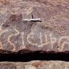 inscription of siglum Is.R 35