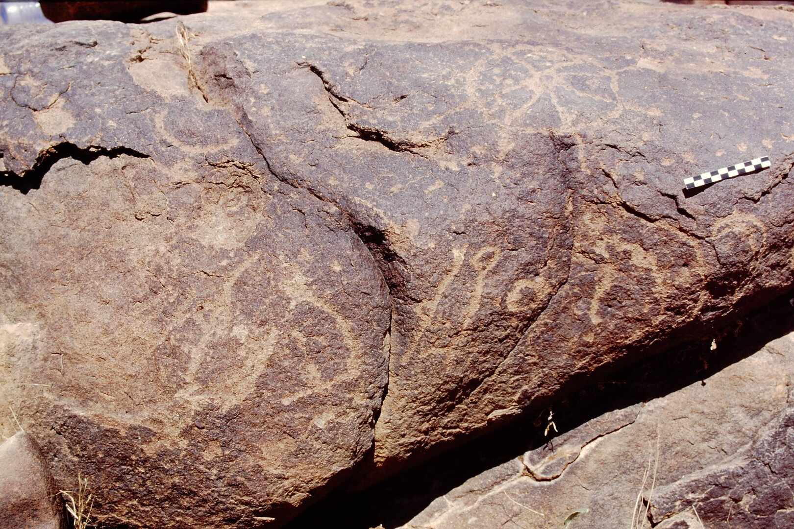inscription of siglum Is.R 36