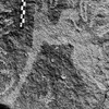 inscription of siglum Is.R 42