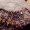 inscription of siglum Is.R 44