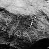 inscription of siglum Is.R 44