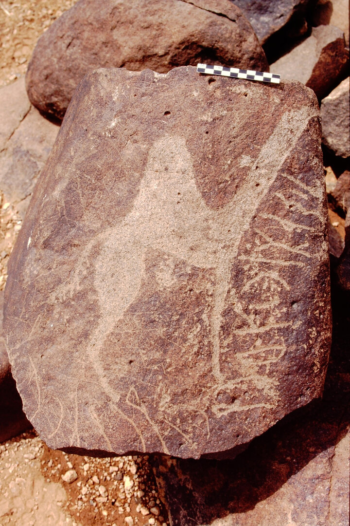 inscription of siglum Is.R 45