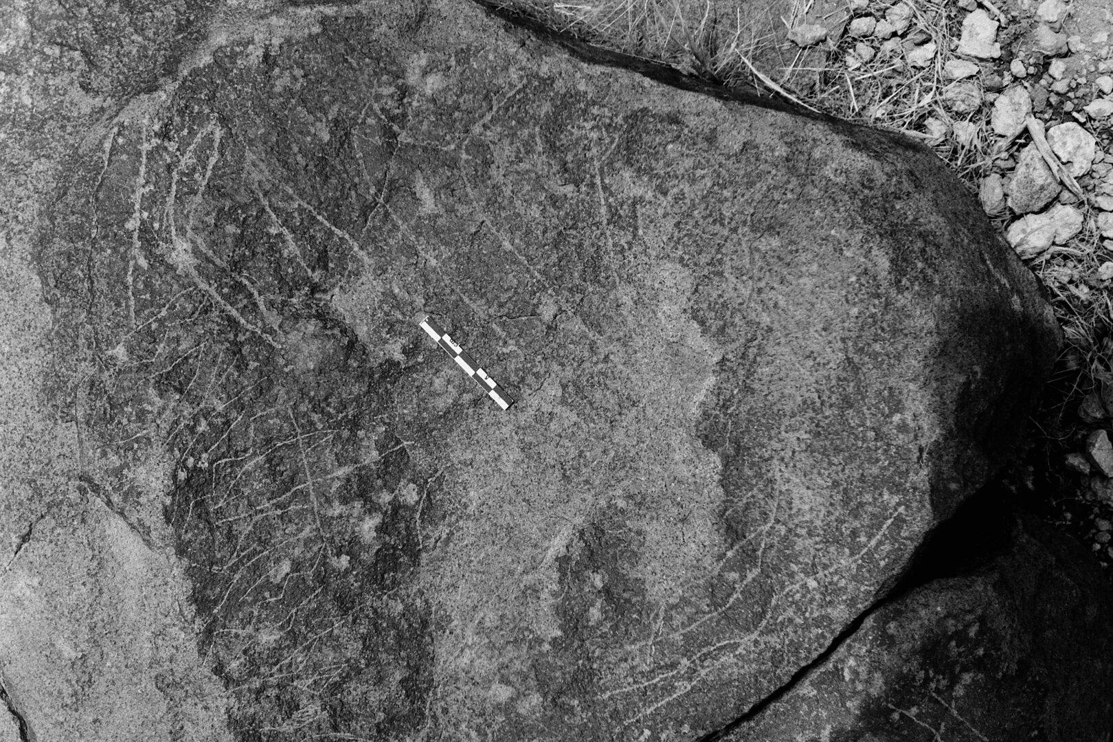 inscription of siglum Is.R 49