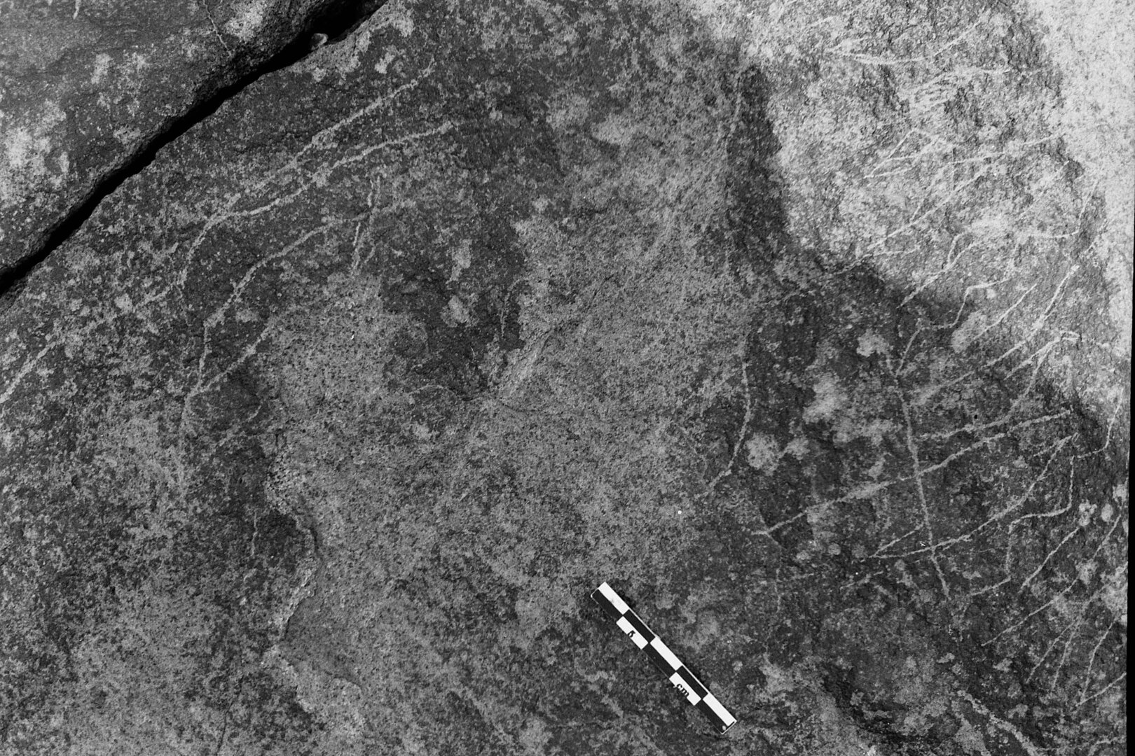 inscription of siglum Is.R 49