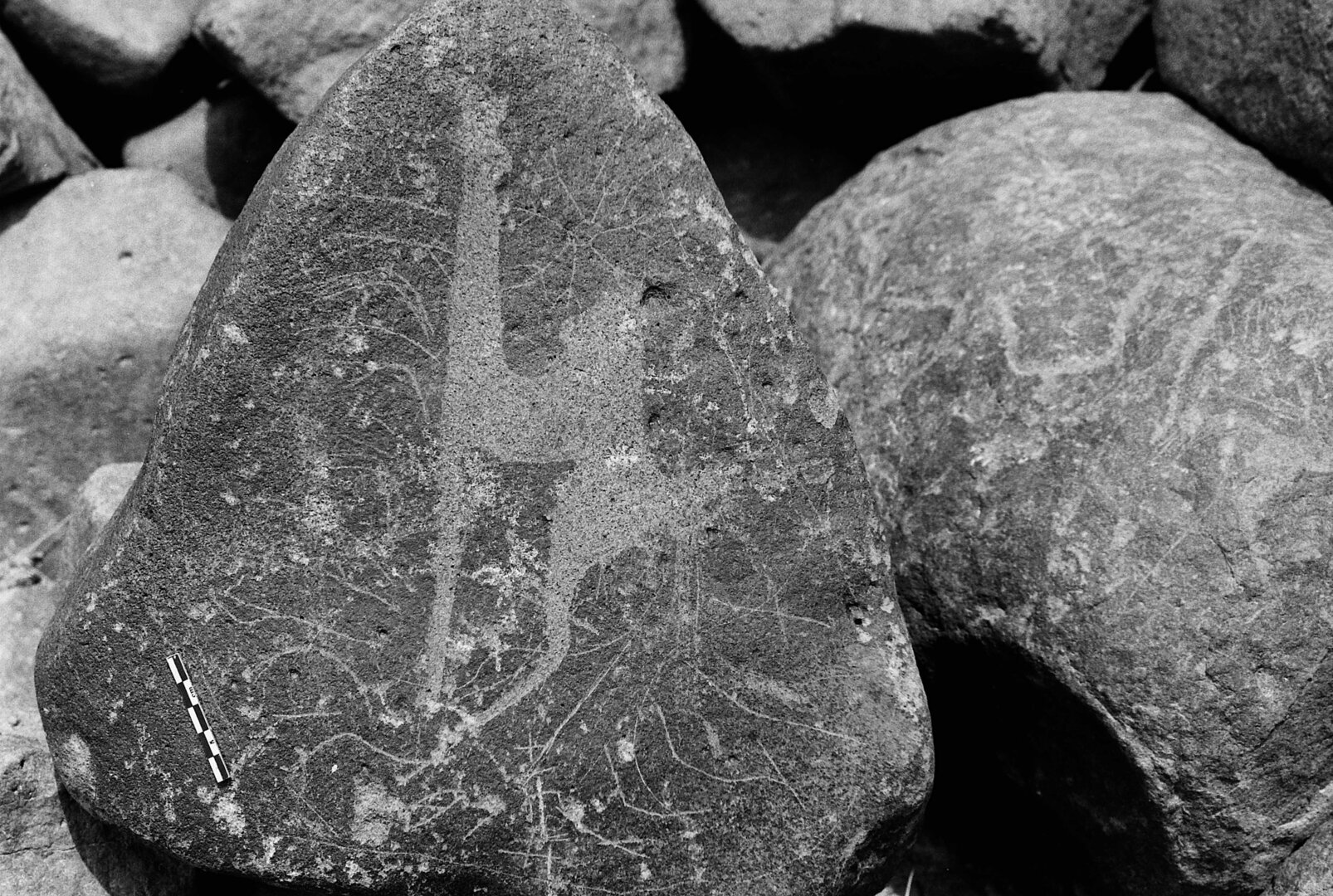 inscription of siglum Is.R 51