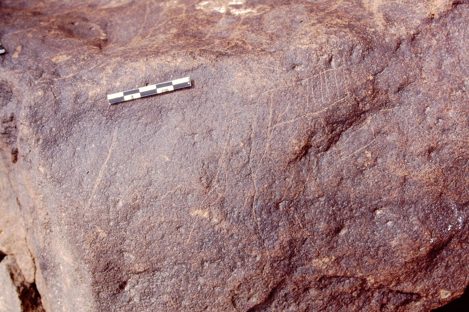 inscription of siglum Is.R 55