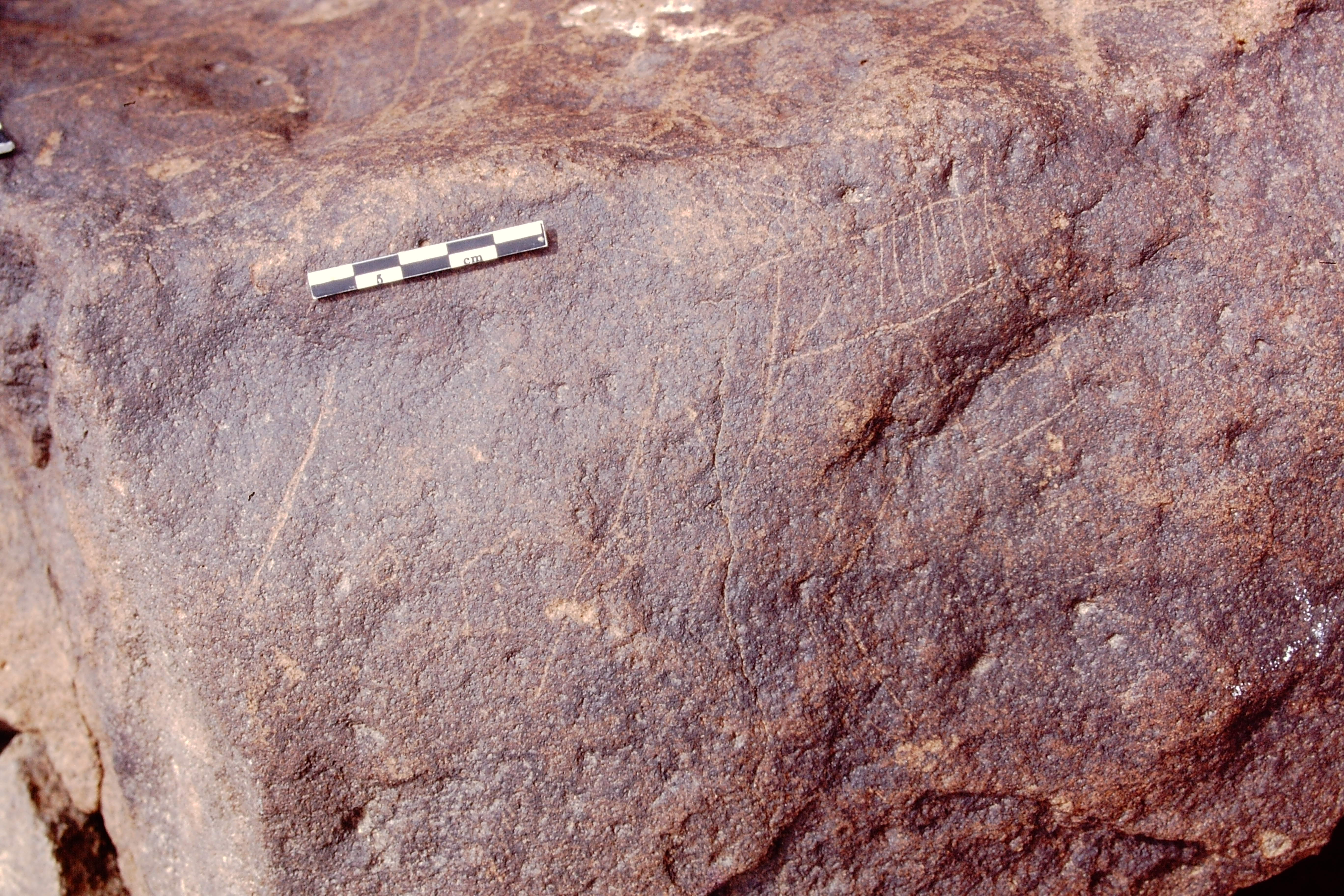 inscription of siglum Is.R 55