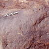 inscription of siglum Is.R 55