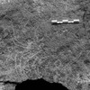 inscription of siglum Is.R 55