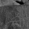 inscription of siglum Is.R 65
