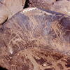 inscription of siglum Is.R 65