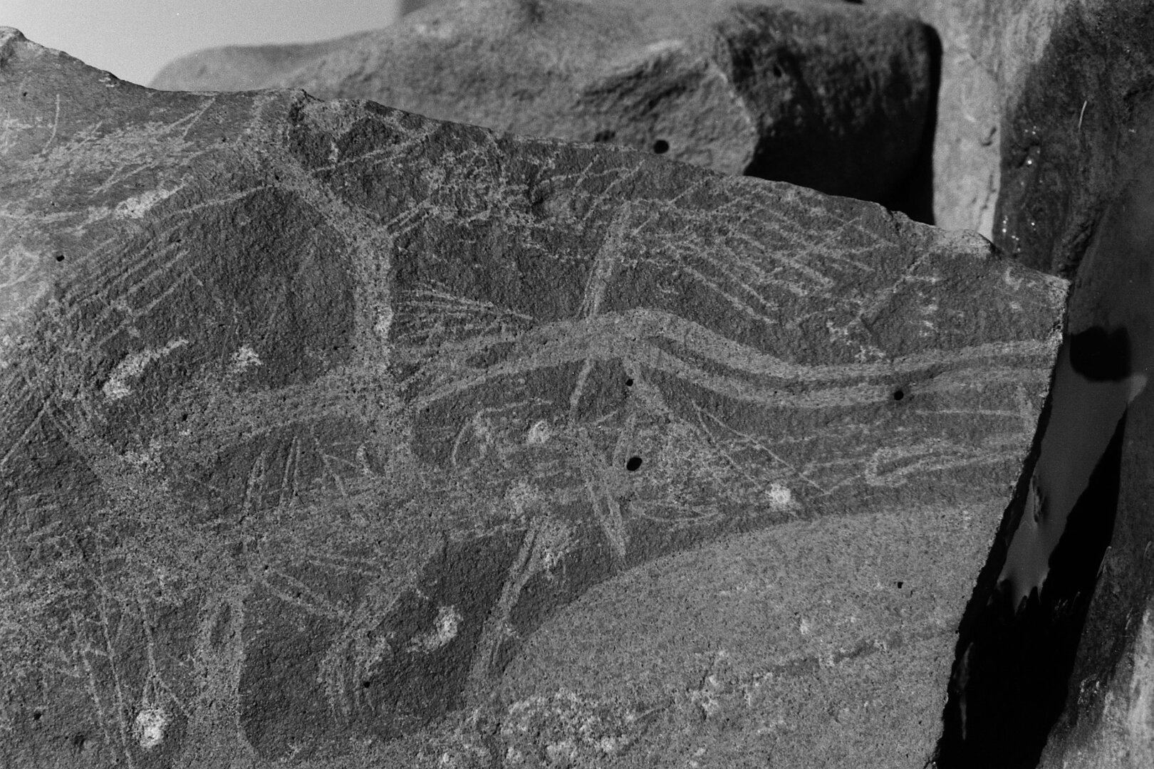 inscription of siglum Is.R 66