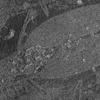 inscription of siglum Is.R 66
