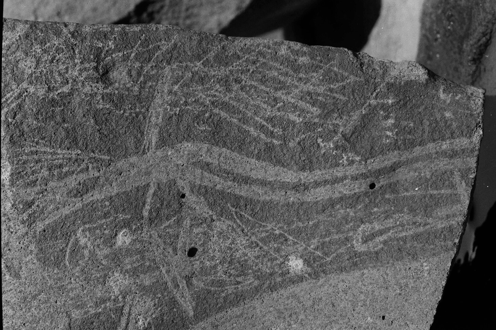 inscription of siglum Is.R 74