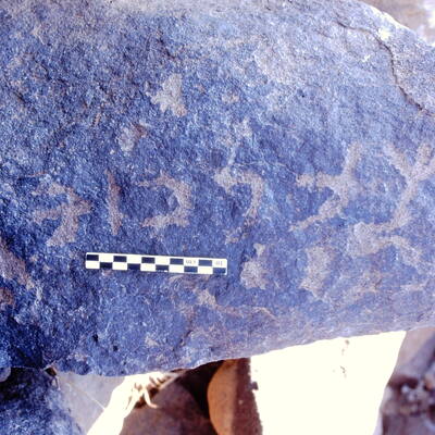 inscription of siglum Is.R 81