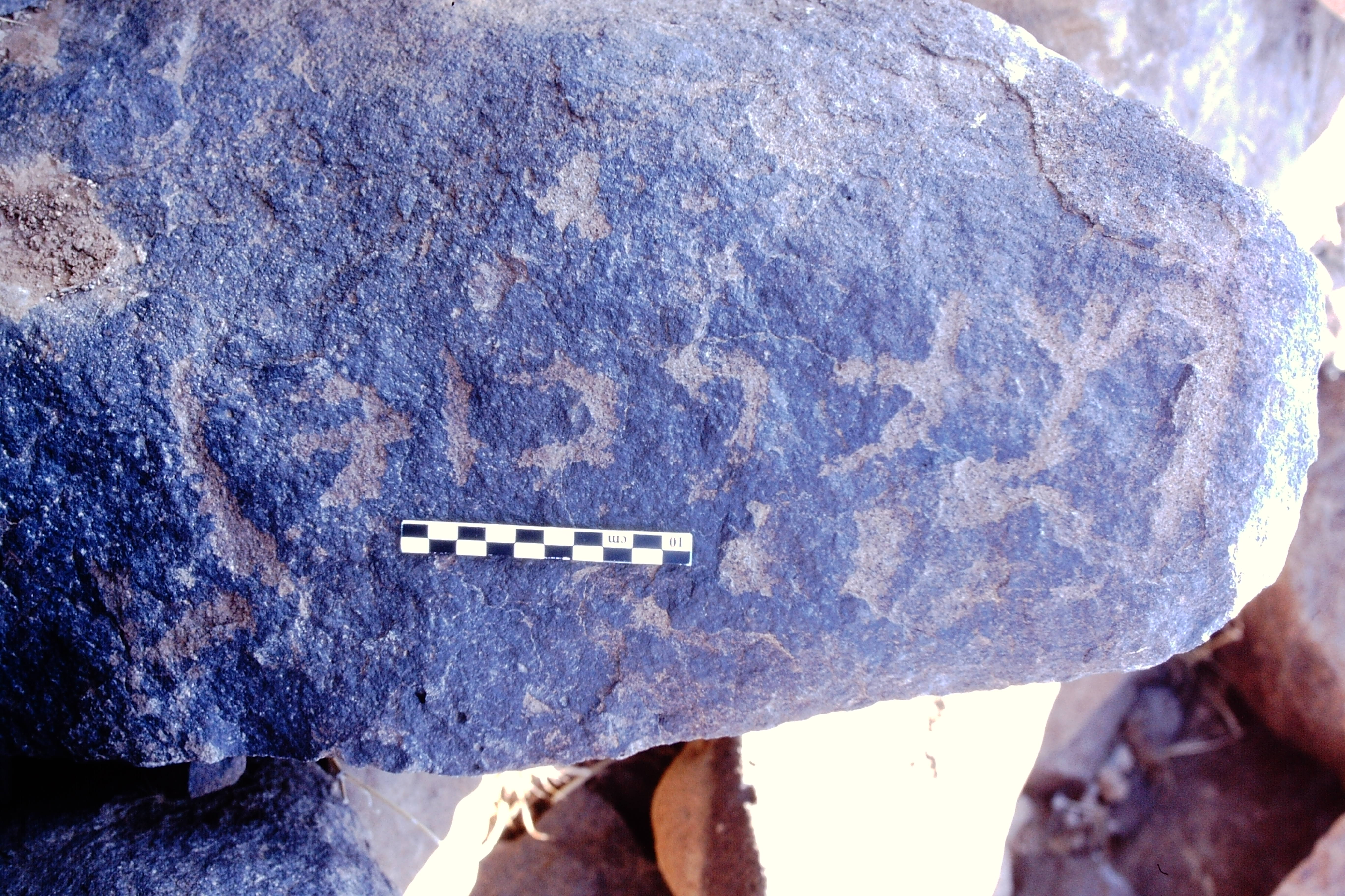 inscription of siglum Is.R 81