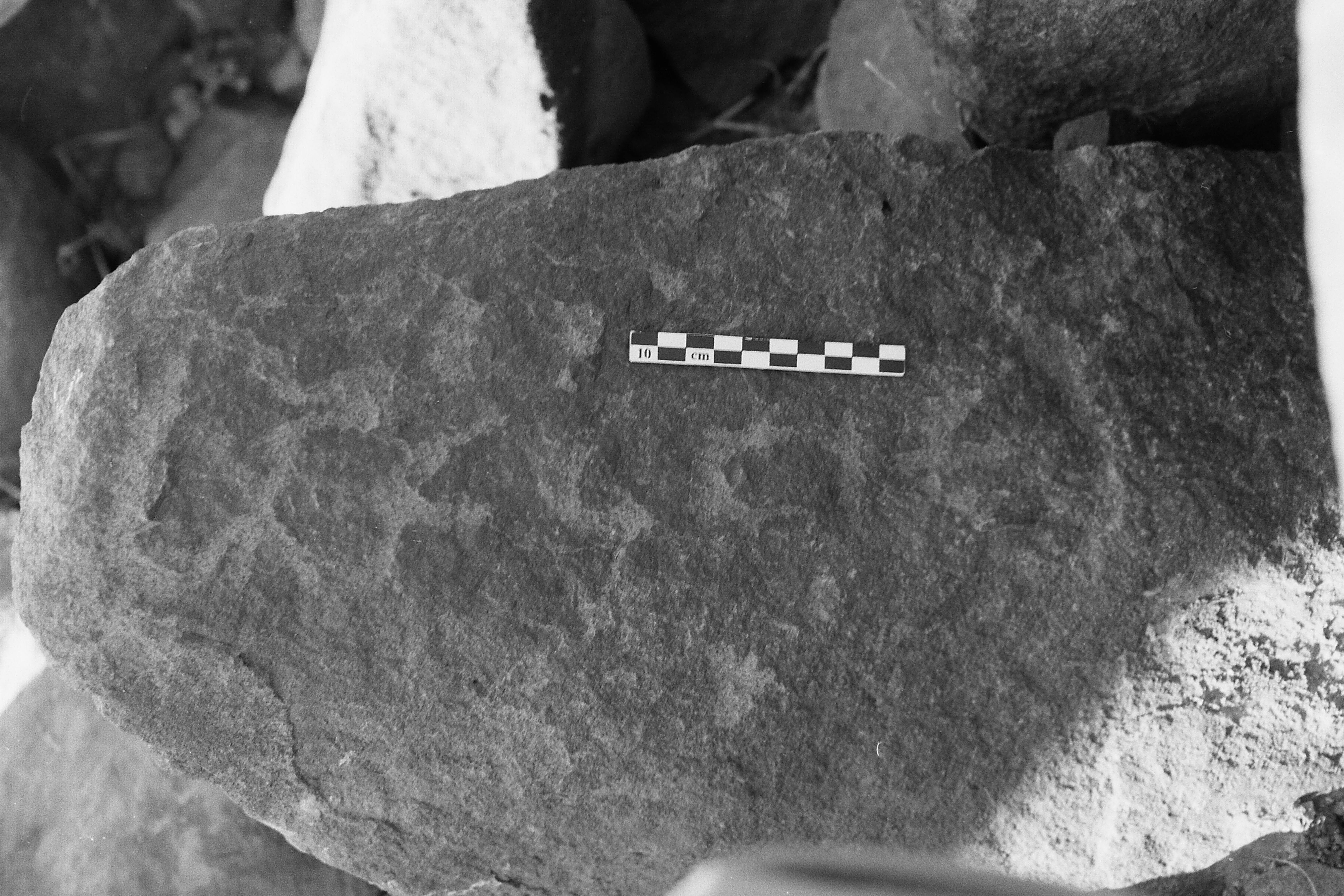 inscription of siglum Is.R 81